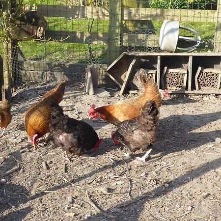 Beemster Oase Bed & Breakfast Middenbeemster Bagian luar foto